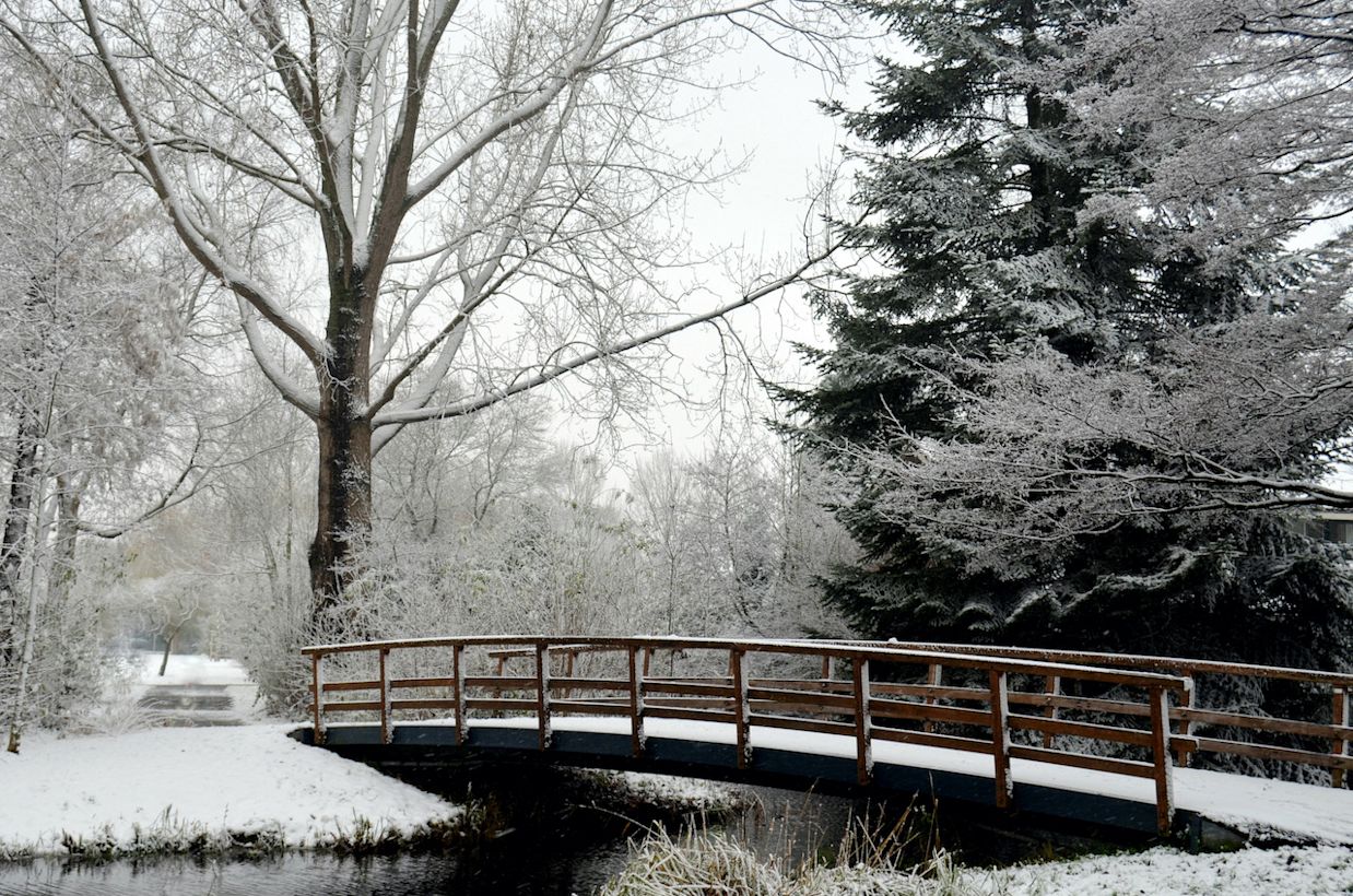 Witte landschap met kerst? Foto: Joop van Duivendijk