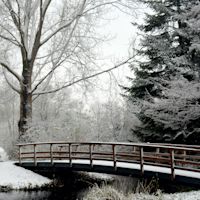 Wanneer valt de sneeuw bij een witte kerst?