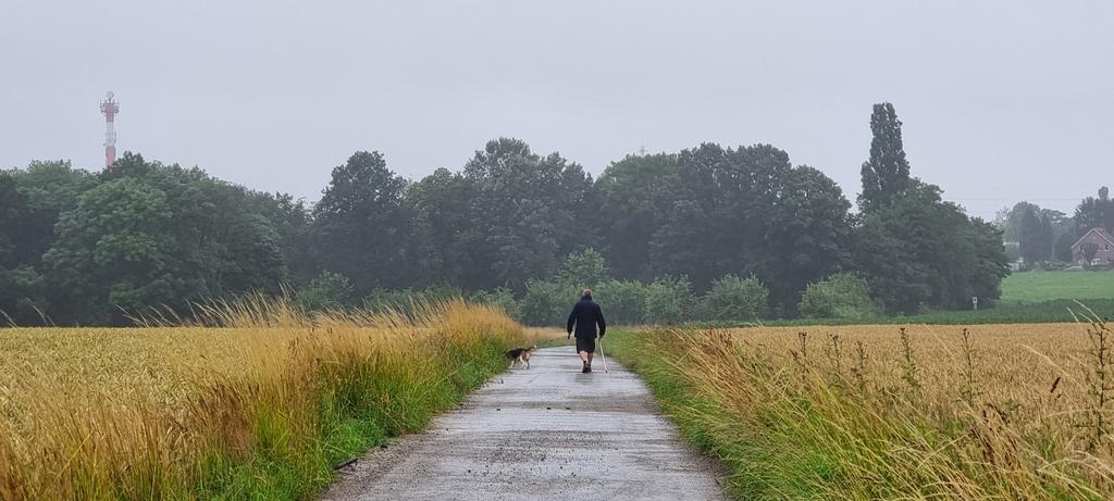 Regenachtig weer - Wandelen - Grijze luchten - Koel en somber - Maandoverzicht