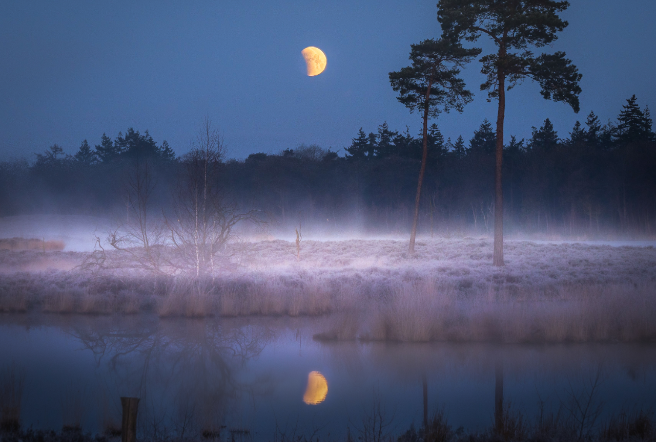 De maansverduistering van maart 2025 was goed te zien. Foto: Wouter van Bernebeek