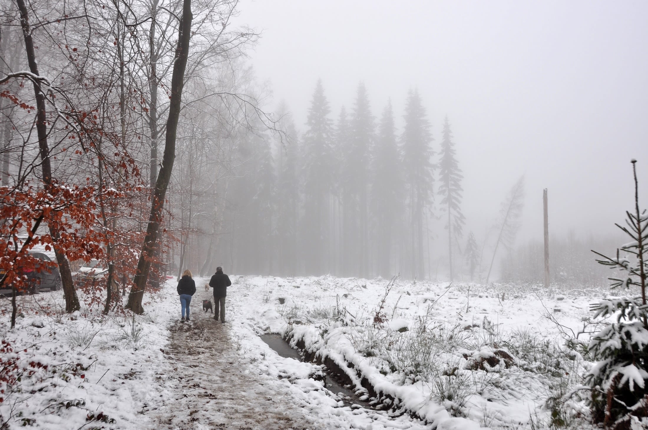 Sneeuw en mist in de Ardennen. Foto: Maria Nefkens