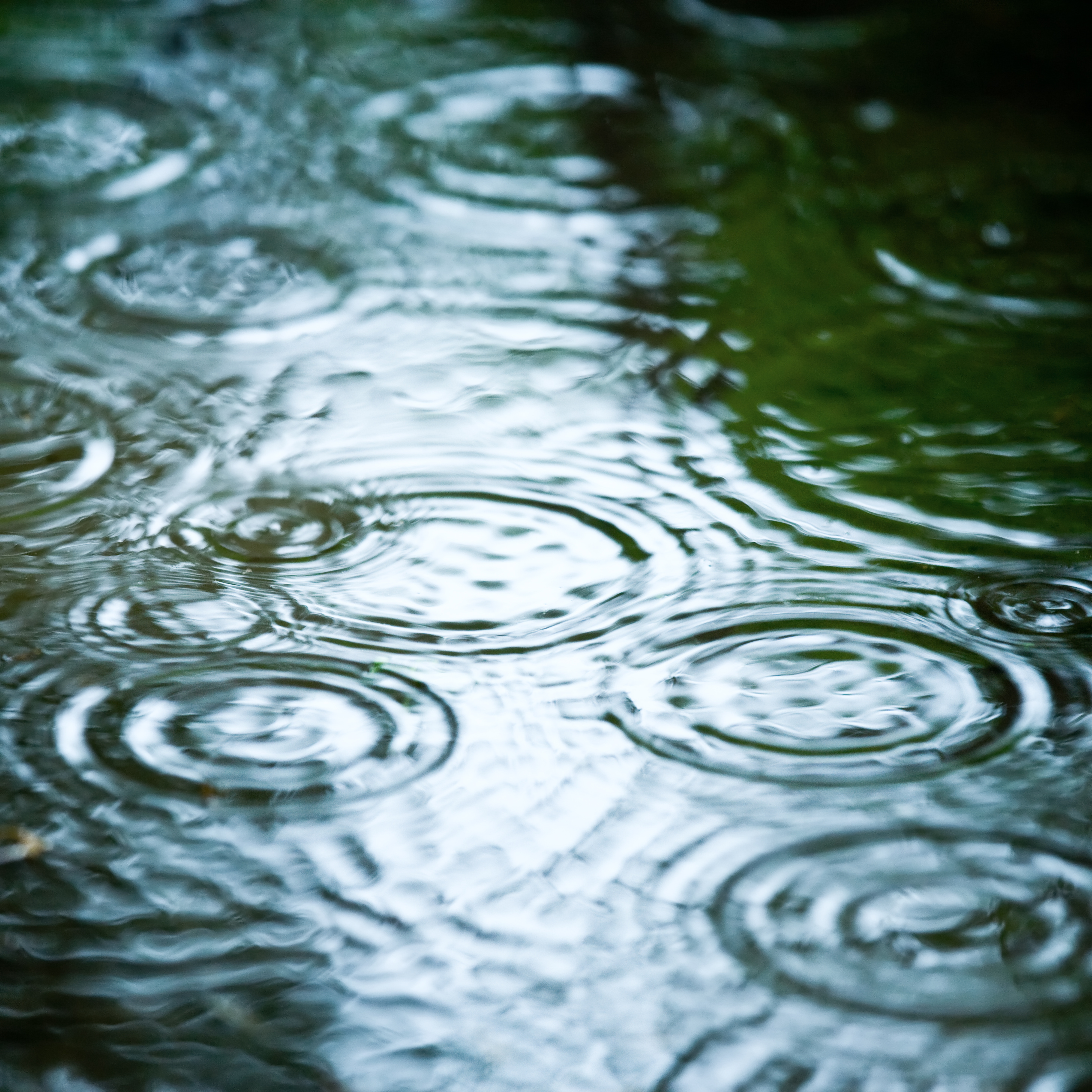 Regendruppels
Foto: AdobeStock