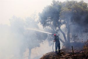 Meeste bosbranden in Griekenland onder controle