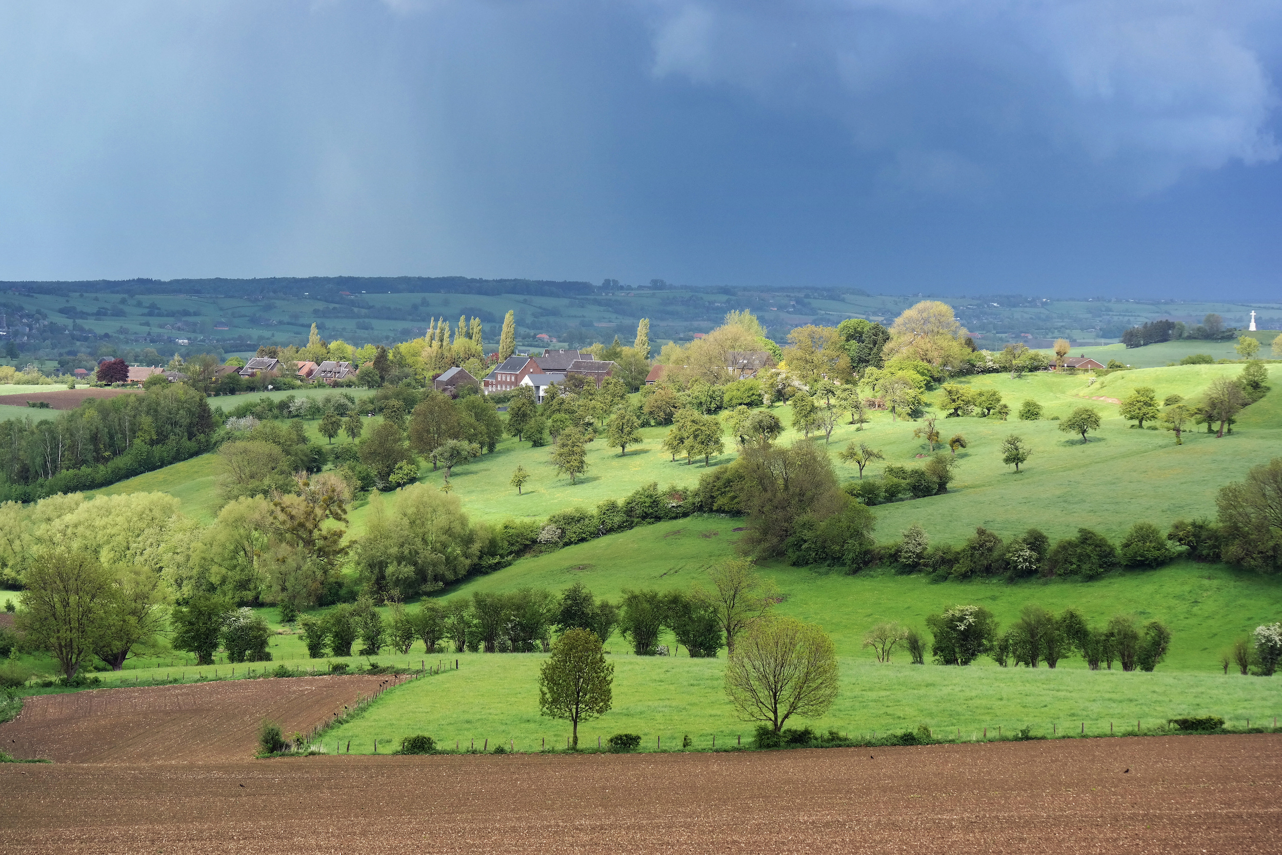 Zomerse bui, Ardennen, België. Foto Adobe Stock / defotoberg