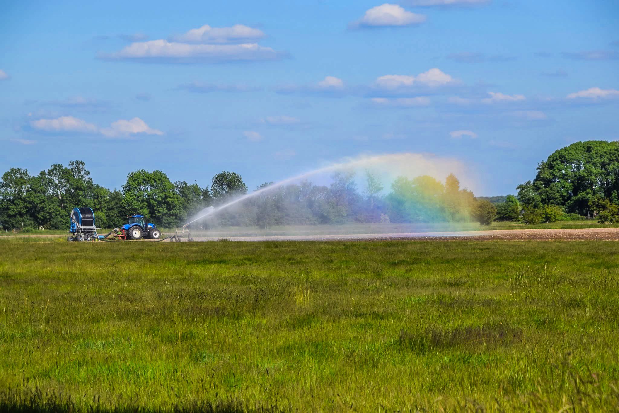 Door de regen hoeft het land even niet beregend te worden. Foto: André Van Mourik