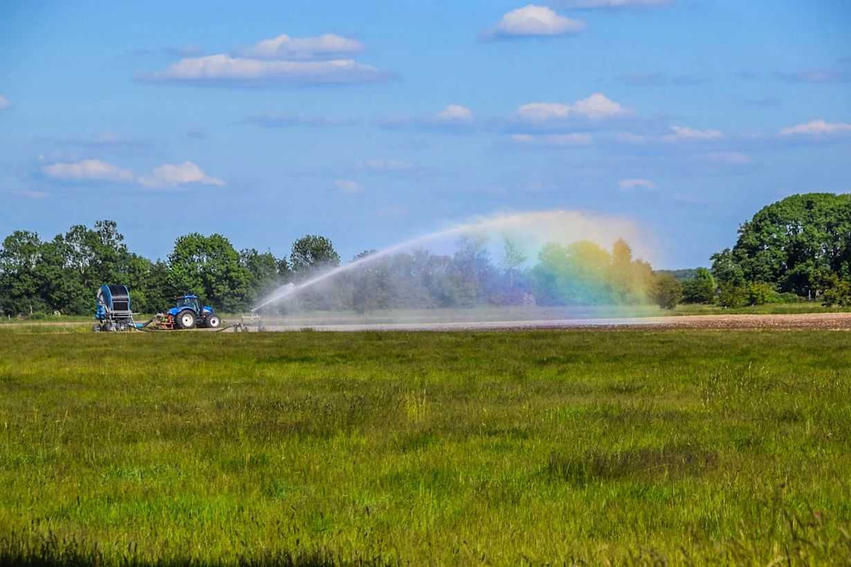 Door de regen hoeft het land even niet beregend te worden. Foto: André Van Mourik