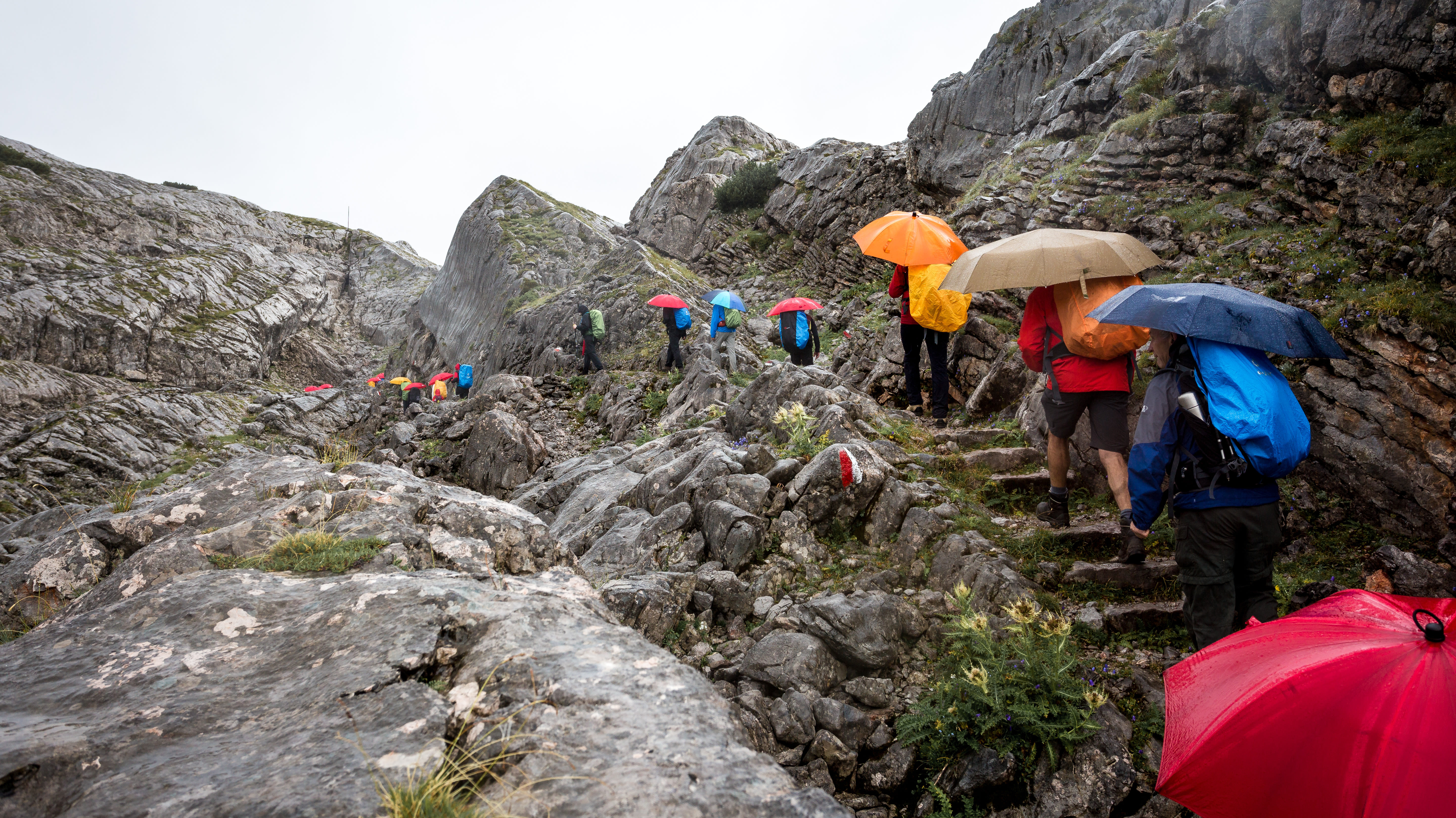 Wandelen in de regen. Foto: Adobe Stock/Andrii Vergelese