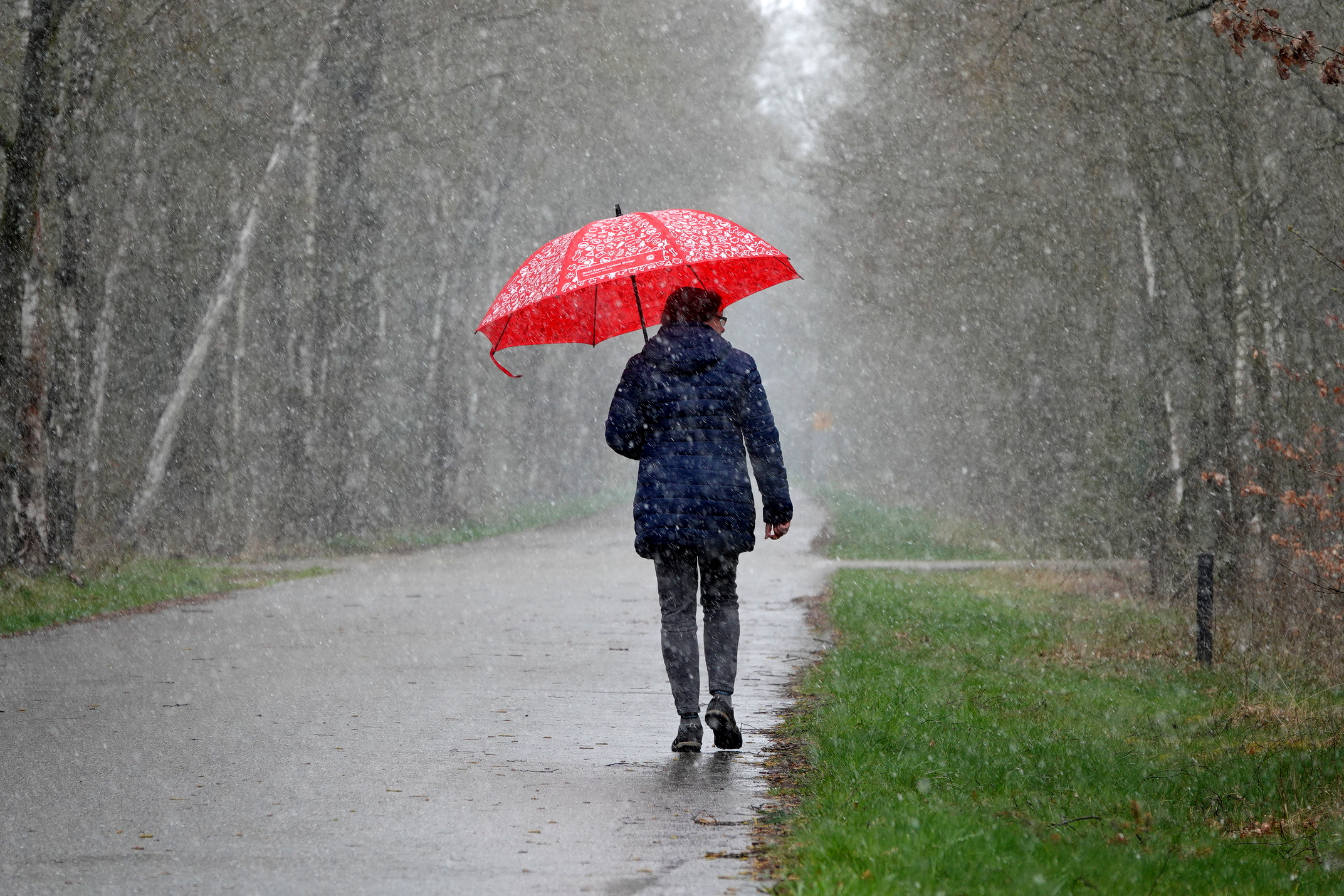Regen en natte sneeuw tijdens wandeling met paraplu. Foto: Ben Saanen