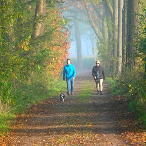 Herfstverwachting: regen of zonneschijn?