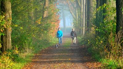 Herfstverwachting: regen of zonneschijn?