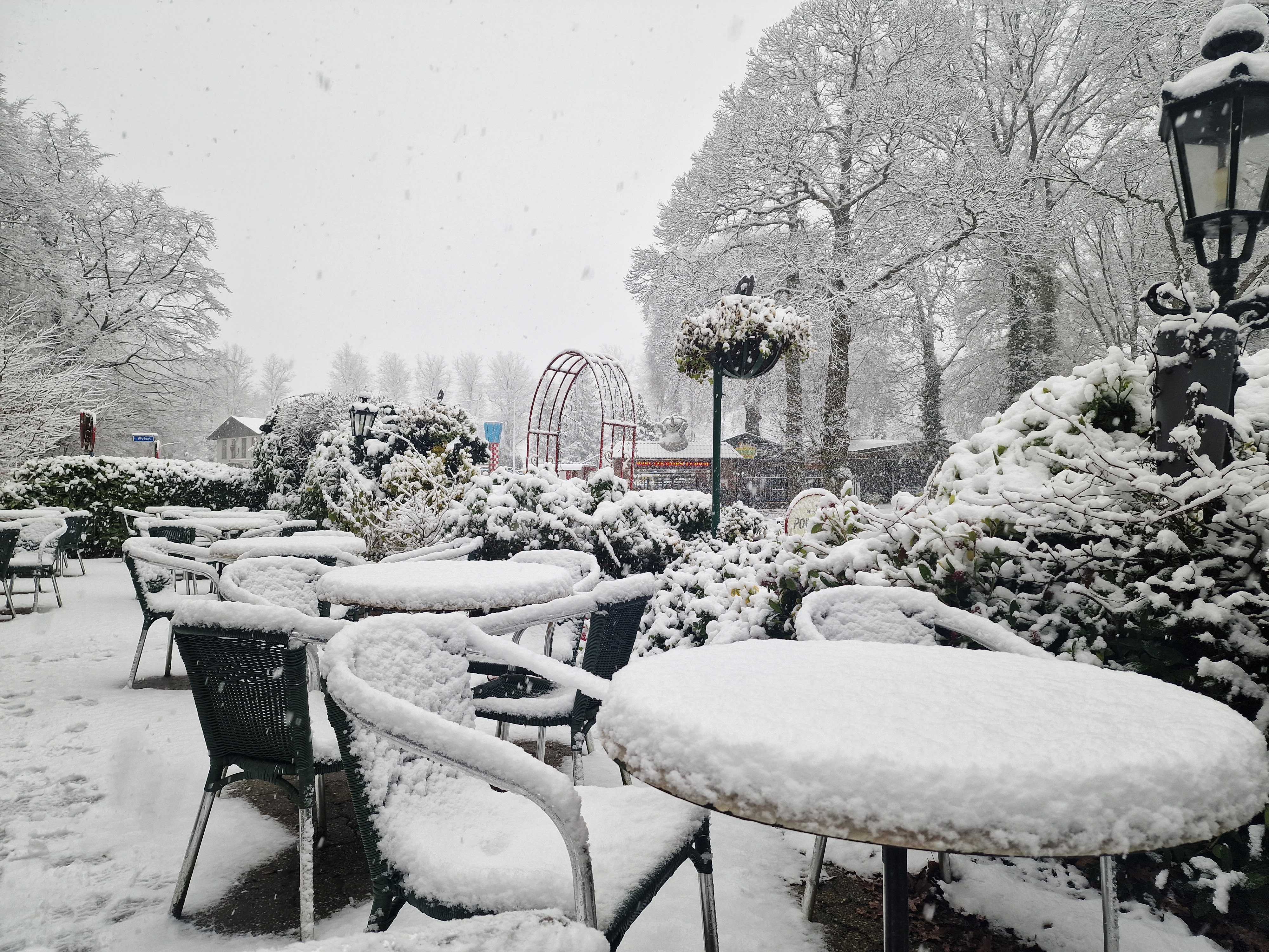 Al 7 centimeter in het noorden van Limburg. Foto: Wouter van Bernebeek