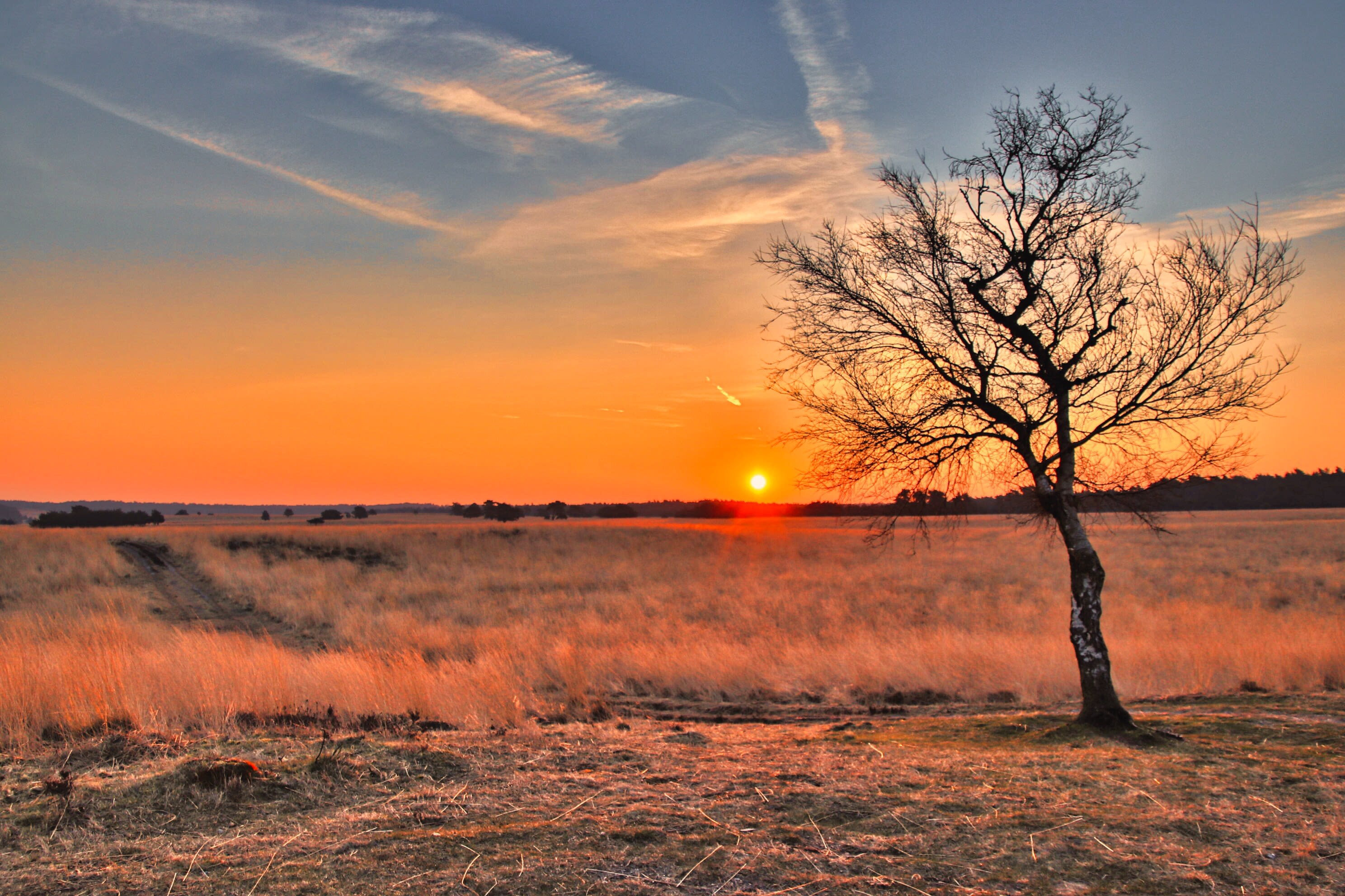 Een prachtige zonsopkomst op het Rozendaalse Veld in Gelderland. Foto: Hans van Loenen
