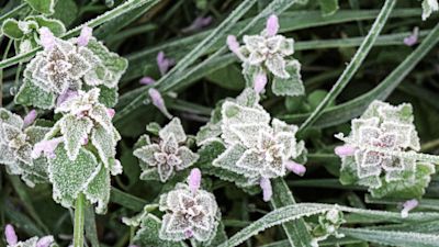 Maandverwachting: zacht herfstweer of eerste winterse kansjes?