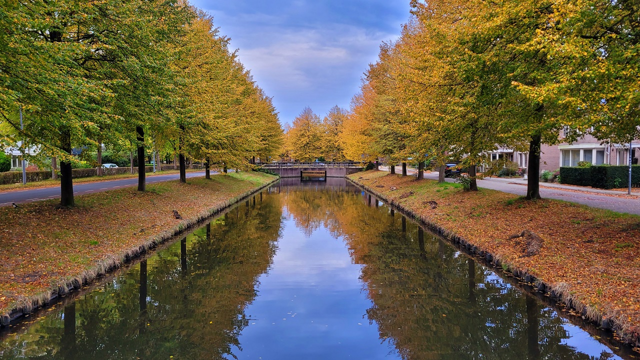 De herfst begint al te kleuren. Foto: Joke Nijenhuis