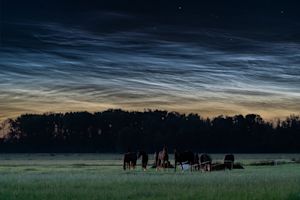 Afgelopen nachten spectaculaire lichtende nachtwolken waargenomen