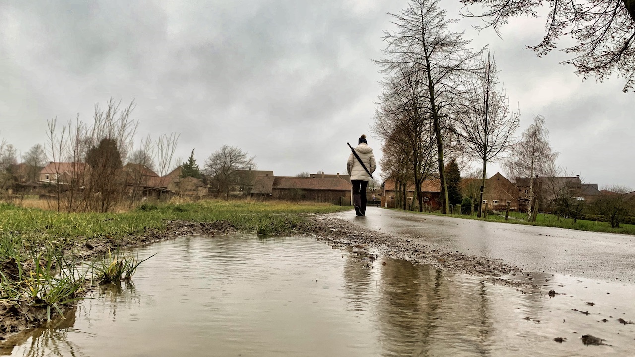 Op veel plaatsen is het kletsnat door de vele regen die is gevallen. Foto: Noël Ryckmans