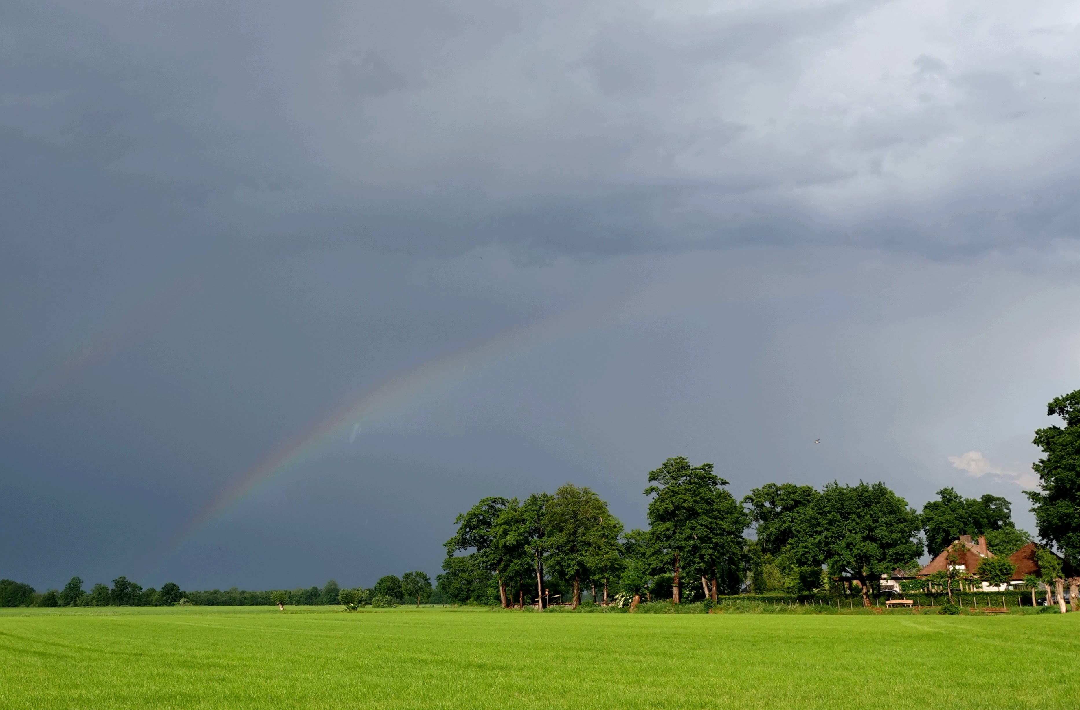 regen regenboog
foto Regina Vastenhout 