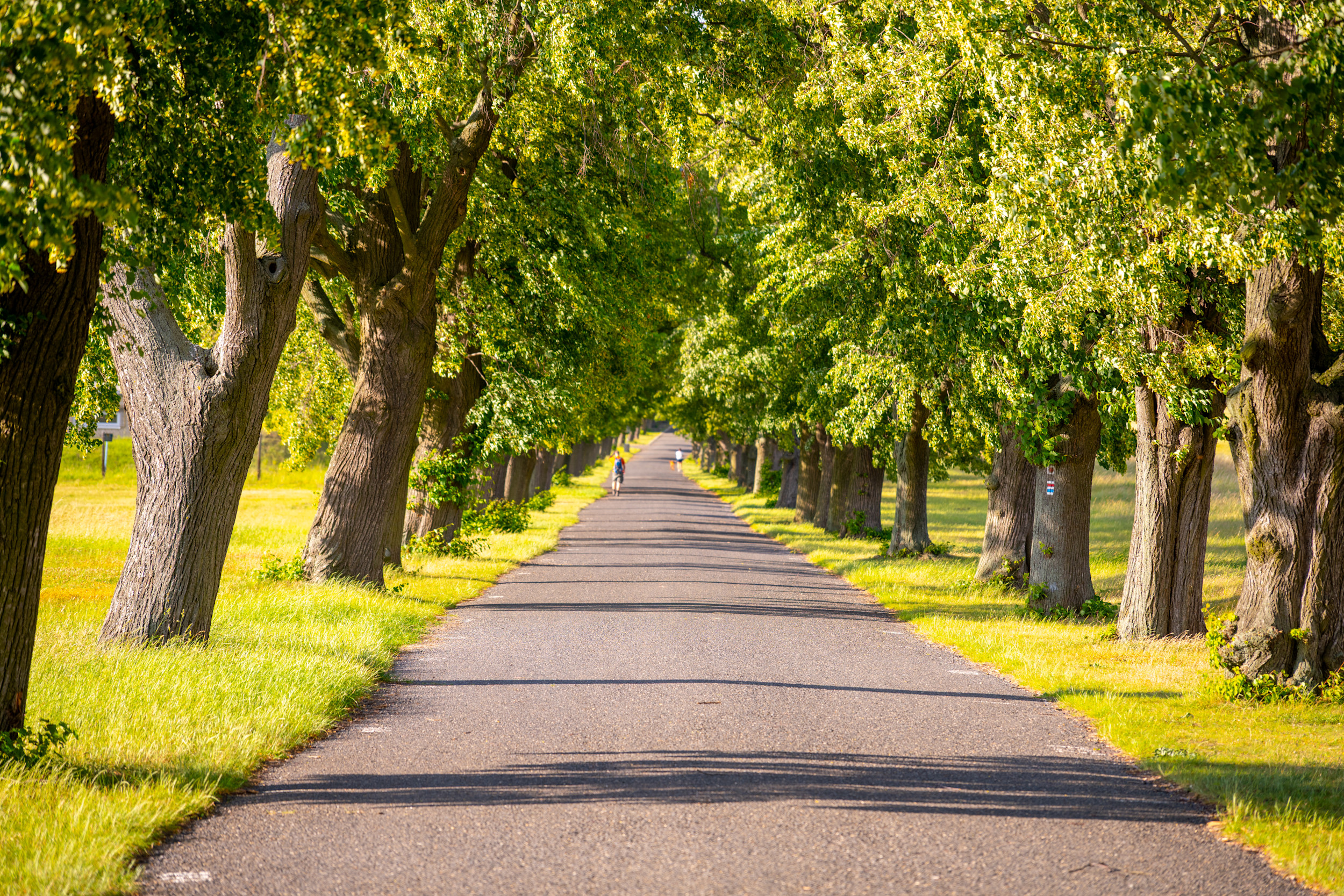 Waarom kleeft de weg als het lange tijd droog is?