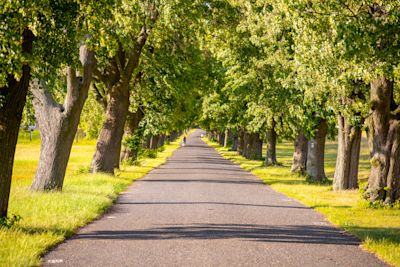 Waarom kleeft de weg als het lange tijd droog is?
