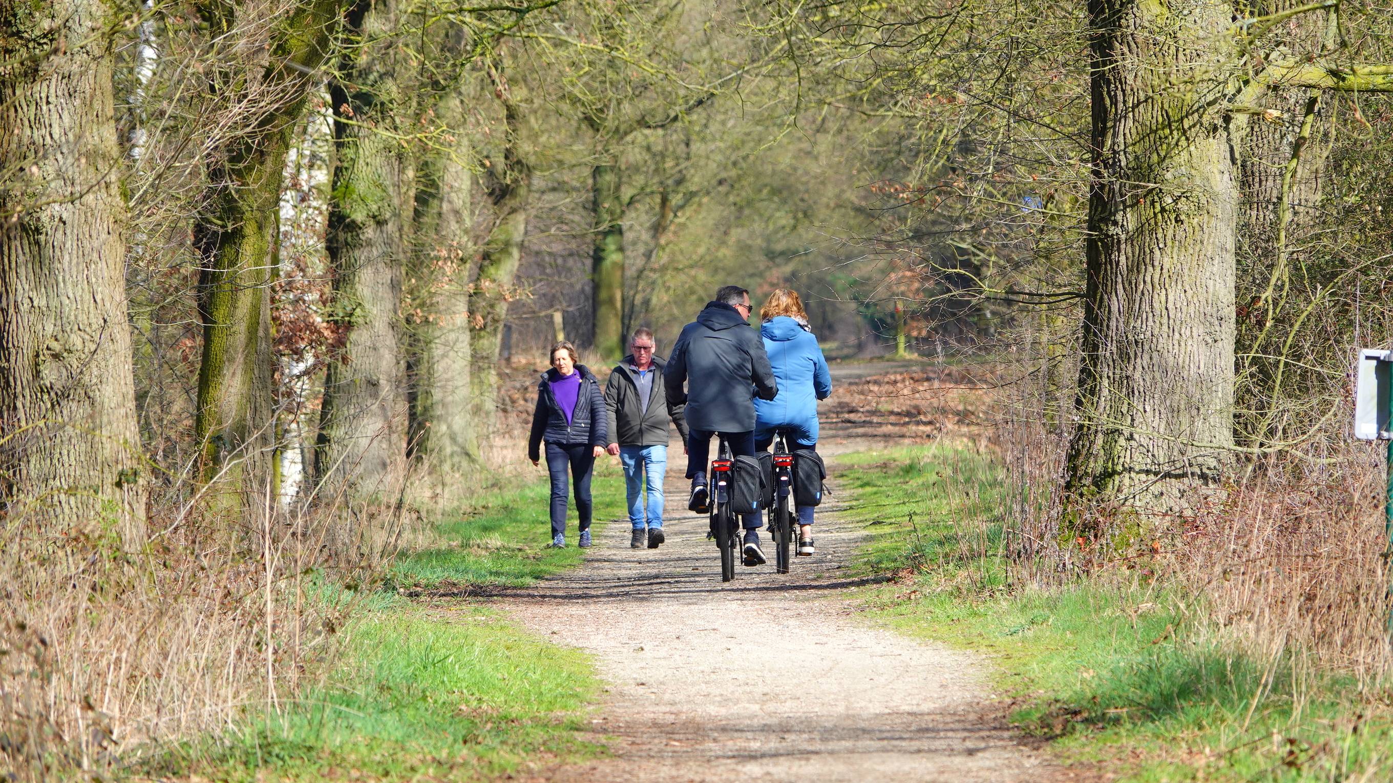 Weekendweer: fris met soms regen