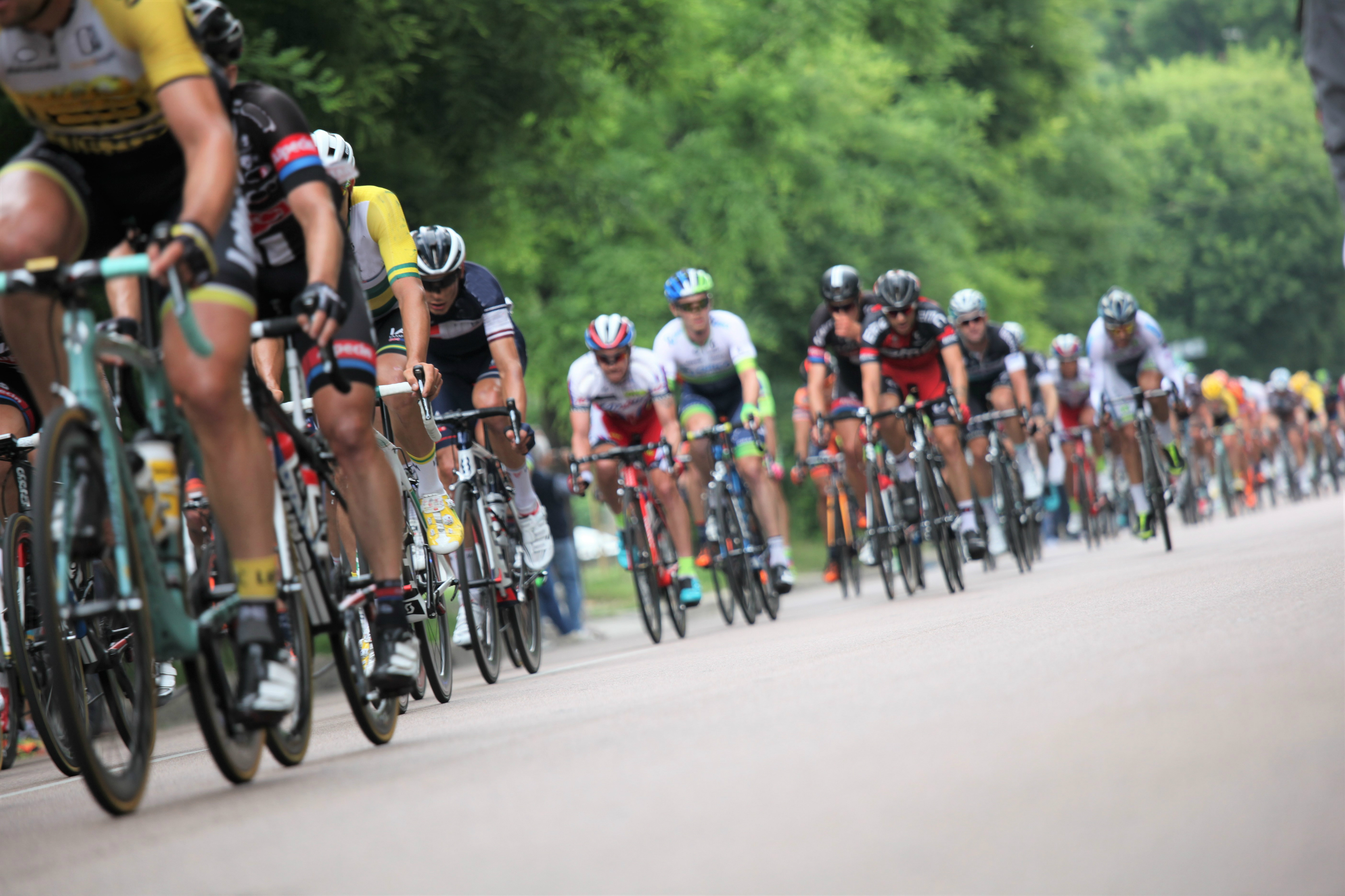 Wielerpeloton. Foto: Adobe Stock / Gianfranco Bella