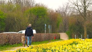 Weekendweer: zo zonnig en koud is het