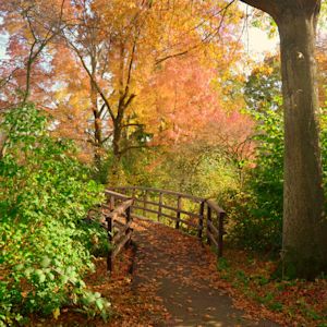 Herfst begonnen: nachten worden weer langer dan de dagen
