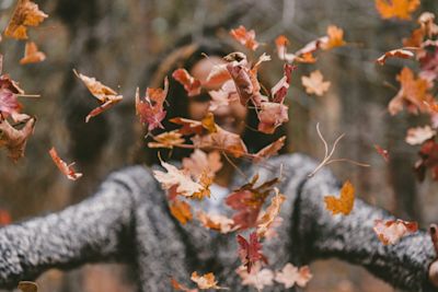 7x inspiratie voor de herfstvakantie in het buitenland