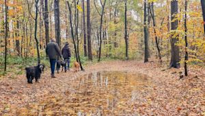 weer in la tour d'aigues Weekendweer: regenjas komt goed van pas
