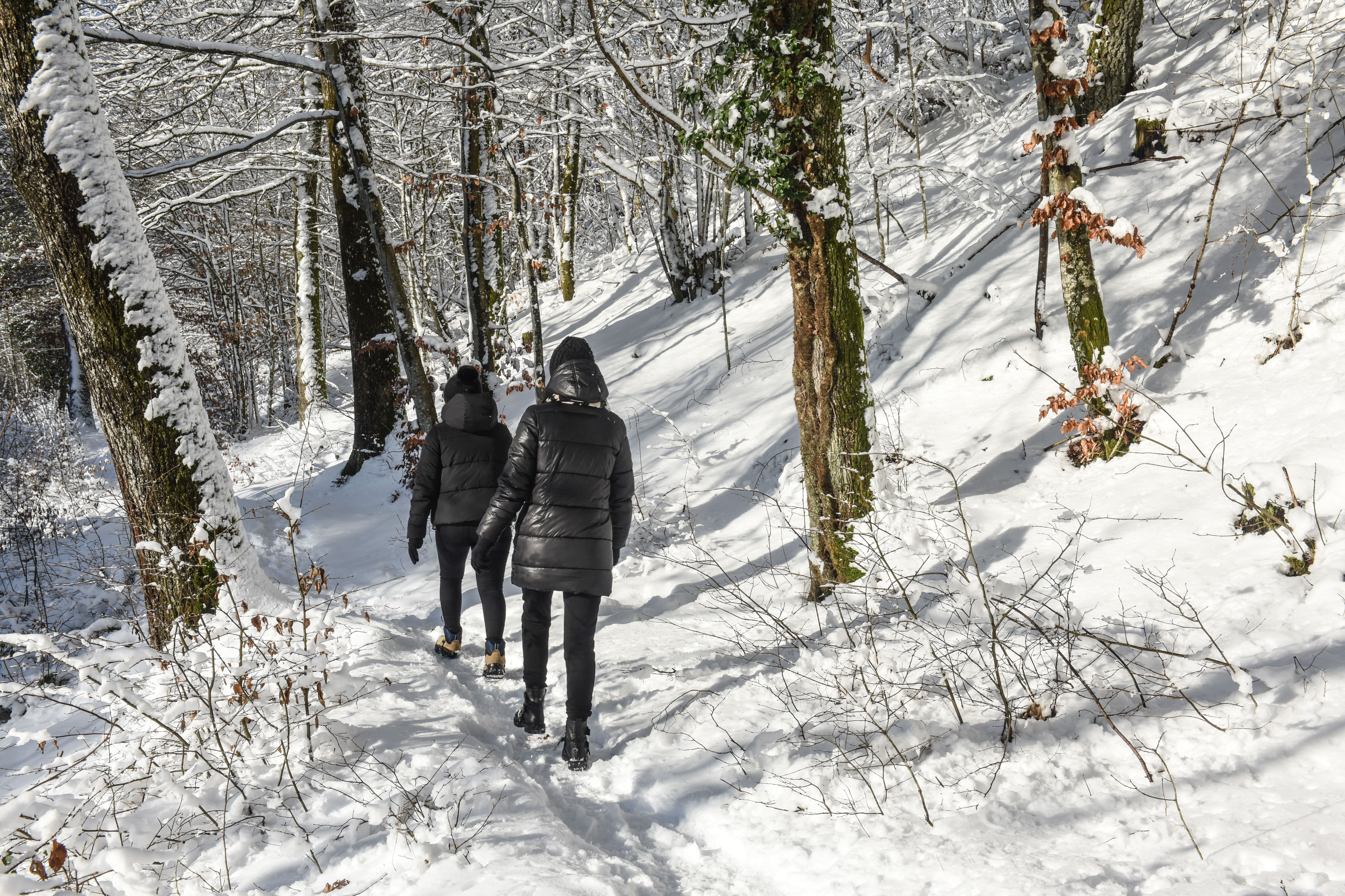 De leukste buitenactiviteiten bij mooi winterweer in België