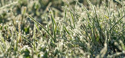 Unieke zomerse grondvorst gemeten