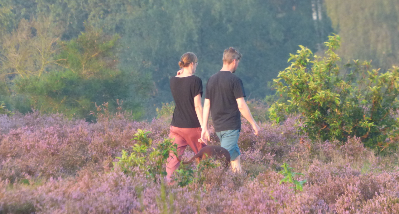 Wandelen op de bloeiende heide. Foto: Chris Meeuwis