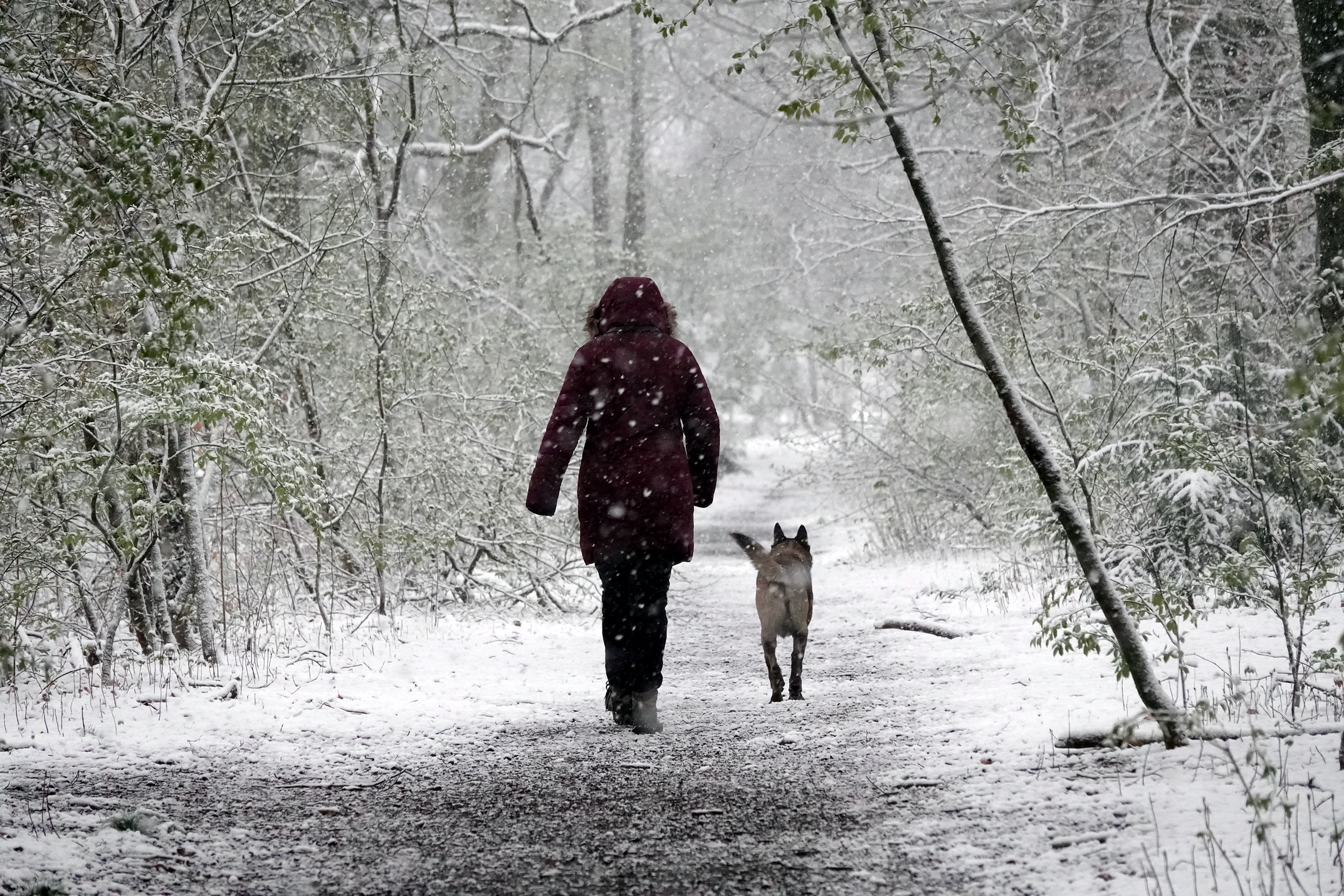Wandelen met de hond tijdens sneeuw van april 2021