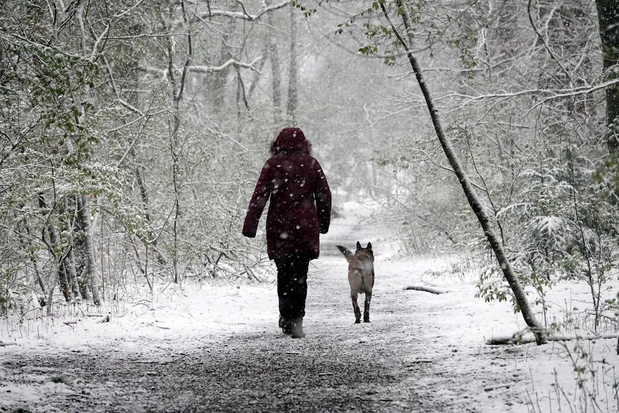 Wandelen met de hond tijdens sneeuw van april 2021