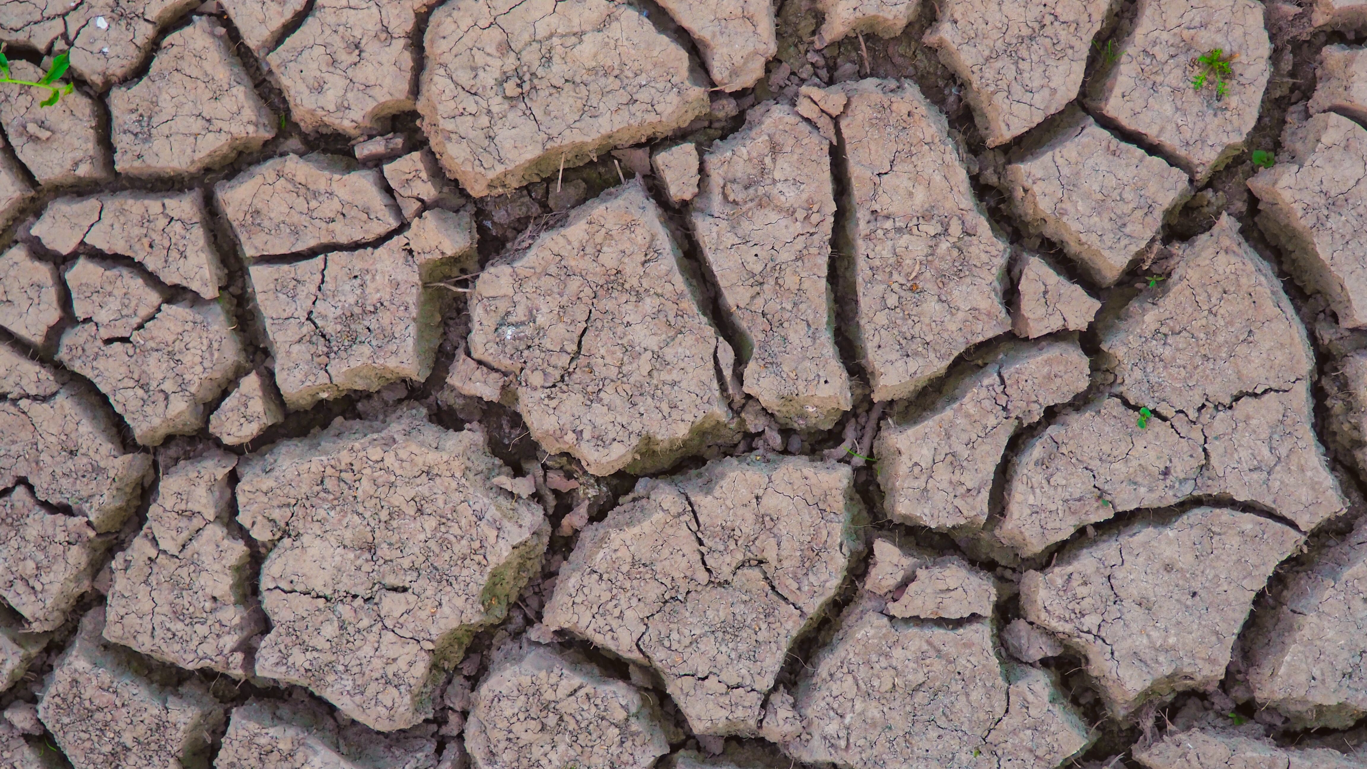 Zo droog wordt onze zomer door klimaatverandering