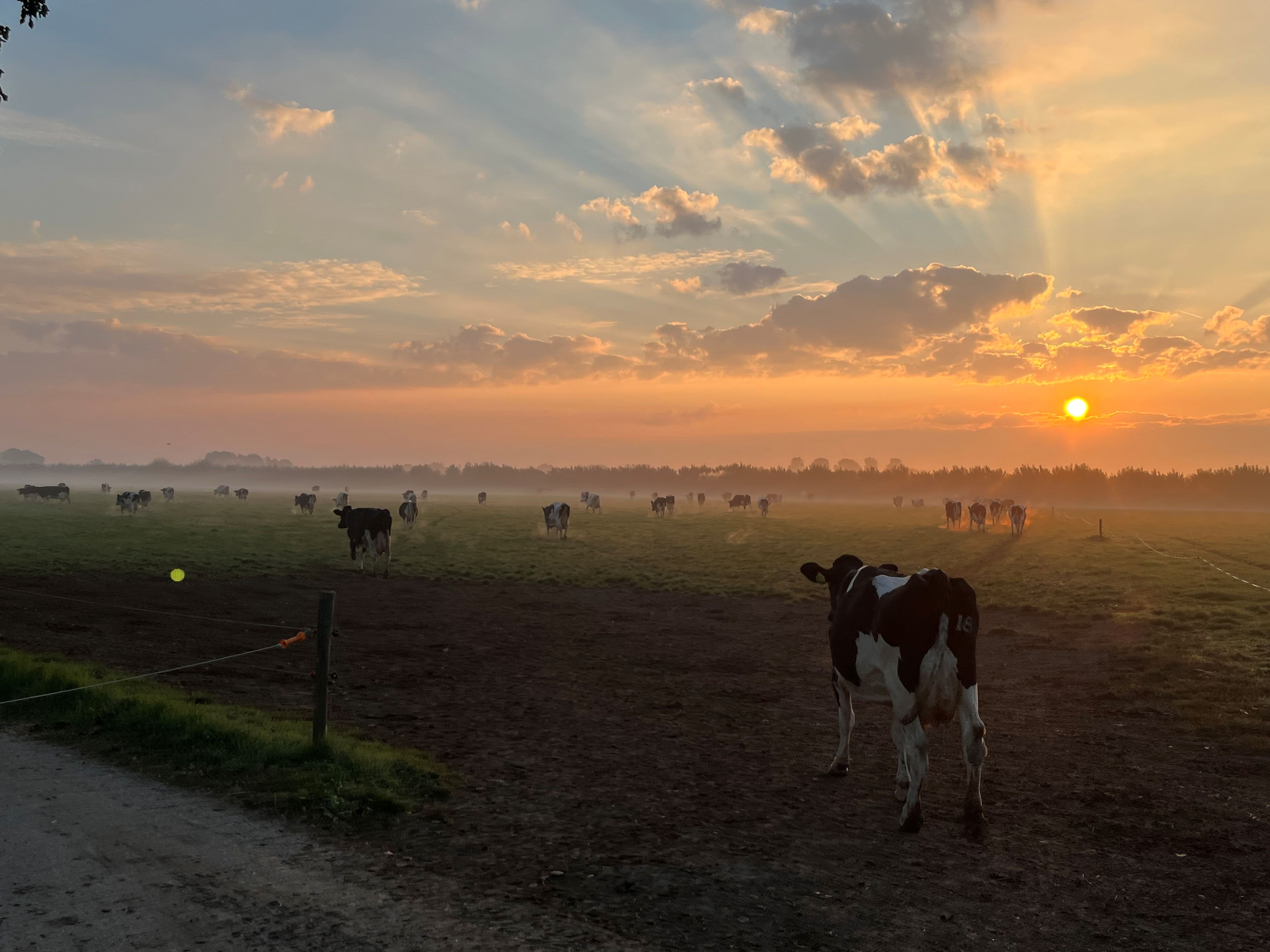 Genieten van de zonsopkomst? Hou dan rekening met lage temperaturen. Foto: A. Ripping