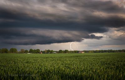 Weekendweer: zomers warm met kans op onweer