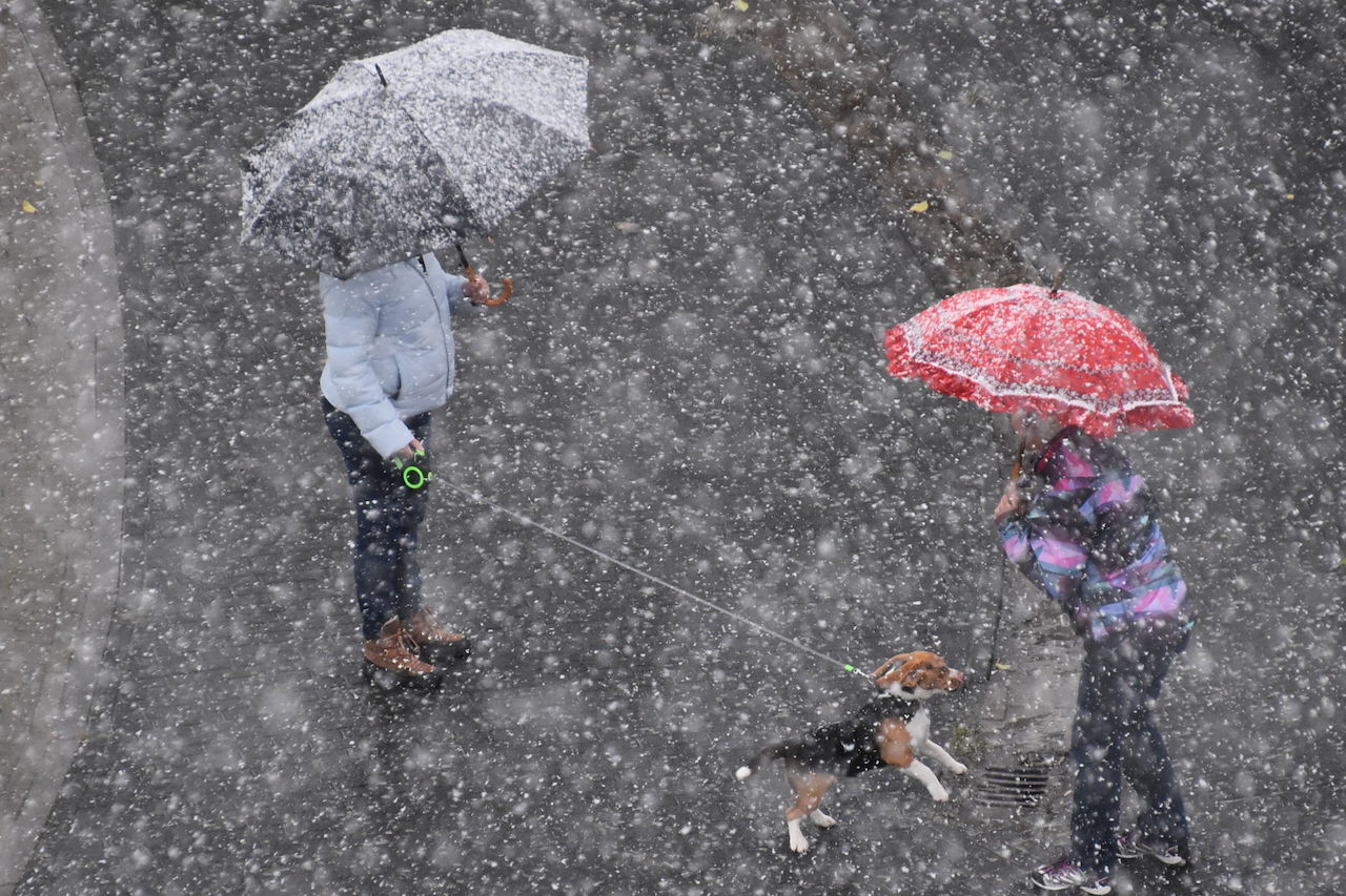 Krijgen we zondag sneeuwvlokken te zien? Foto: Anne-Marie van Iersel