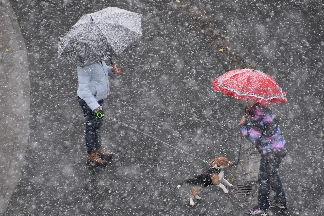 Krijgen we zondag sneeuwvlokken te zien? Foto: Anne-Marie van Iersel