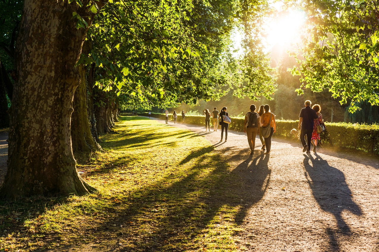Wandelen tijdens de avondzon. Foto: AS / joh.sch