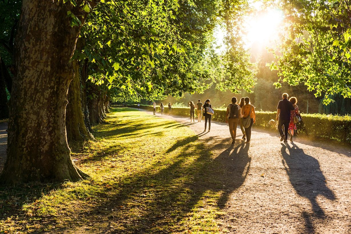 Wandelen tijdens de avondzon. Foto: AS / joh.sch