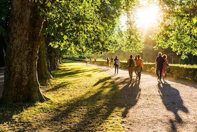 De 5 beste lange afstand wandelpaden van Nederland