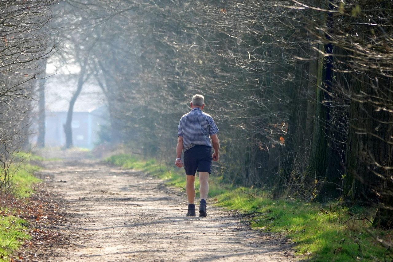 De zon scheen flink in maart en overdag was het duidelijk warmer dan gebruikelijk. Foto: Ben Saanen