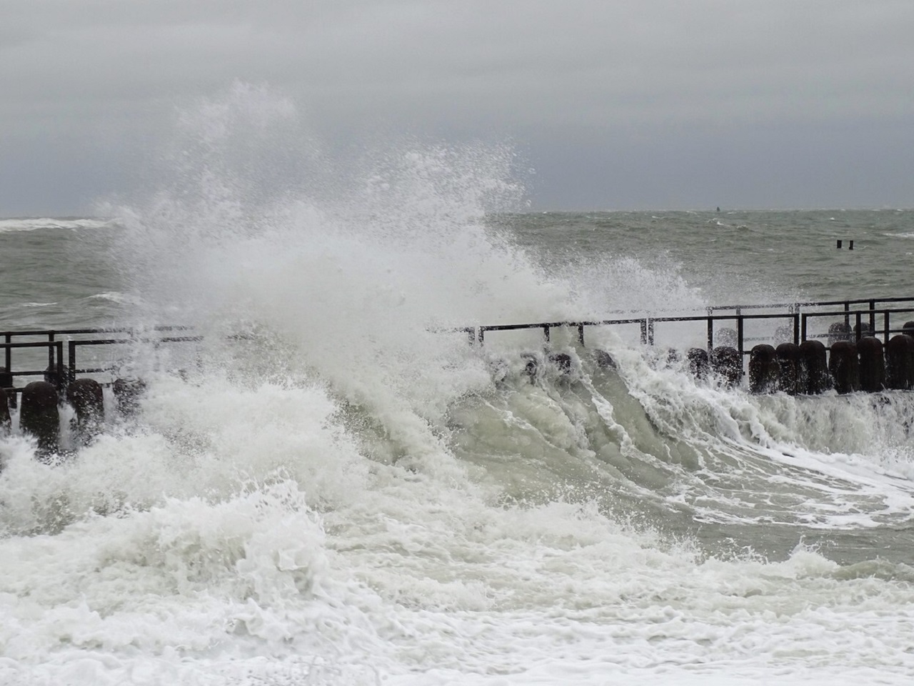 Het kwam in Vlissingen tot een officiële storm. Foto: Hanneke Lucasse