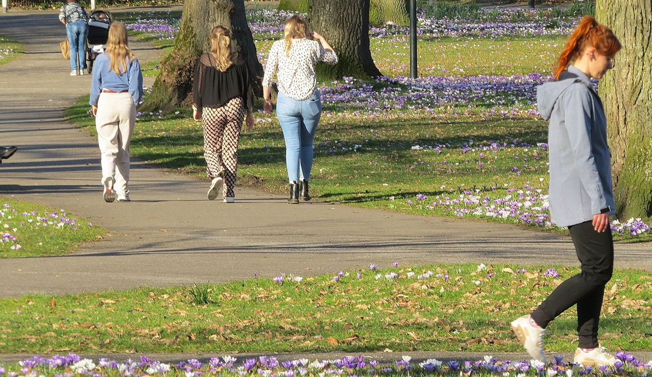 Het is zonnig en zeer warm lenteweer. Foto: Martin Herms