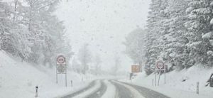 Late winterinval in de Alpen: sneeuw tot in de dalen