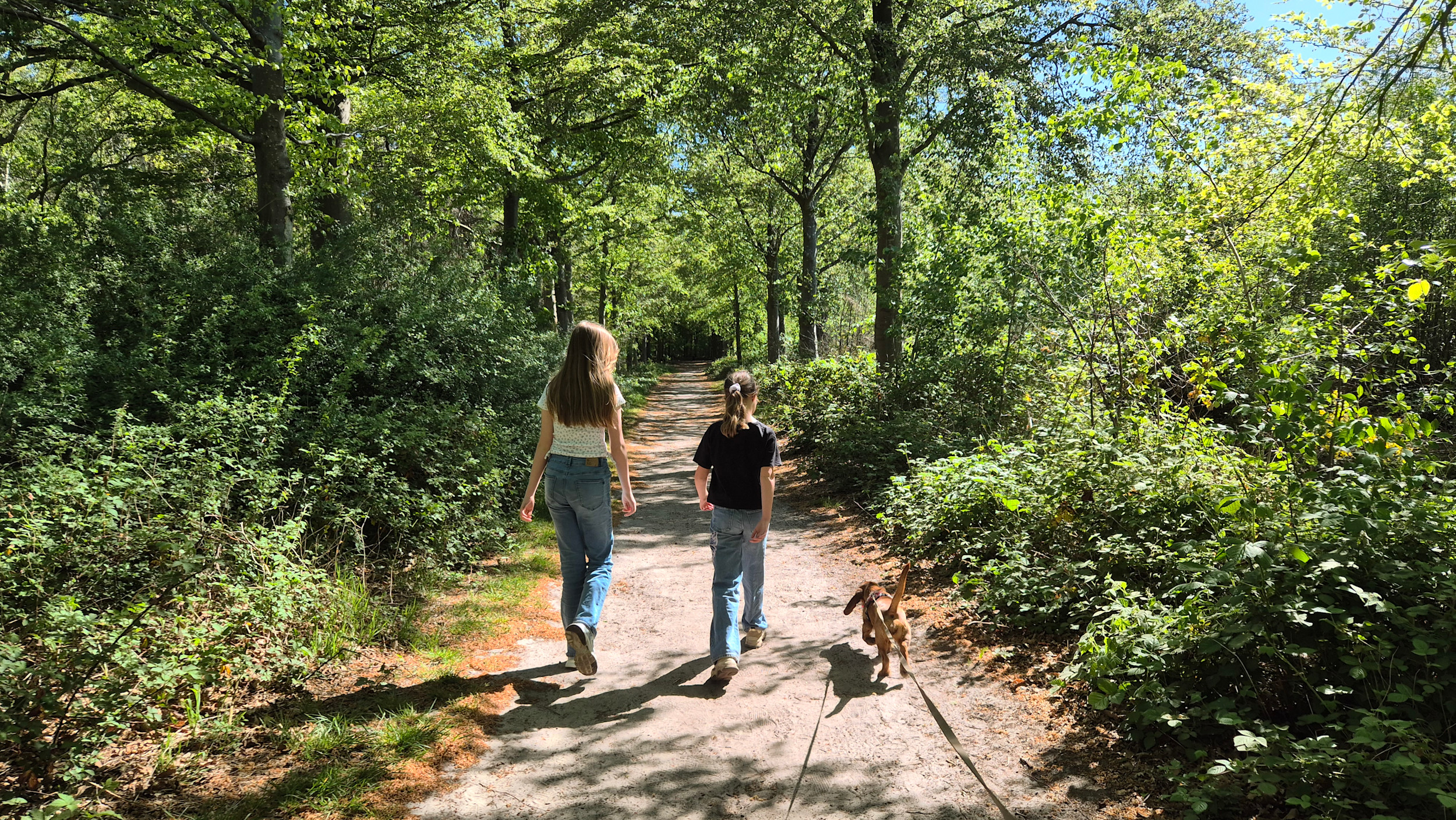 Weekverwachting: eerst wisselvallig, later meer zon?