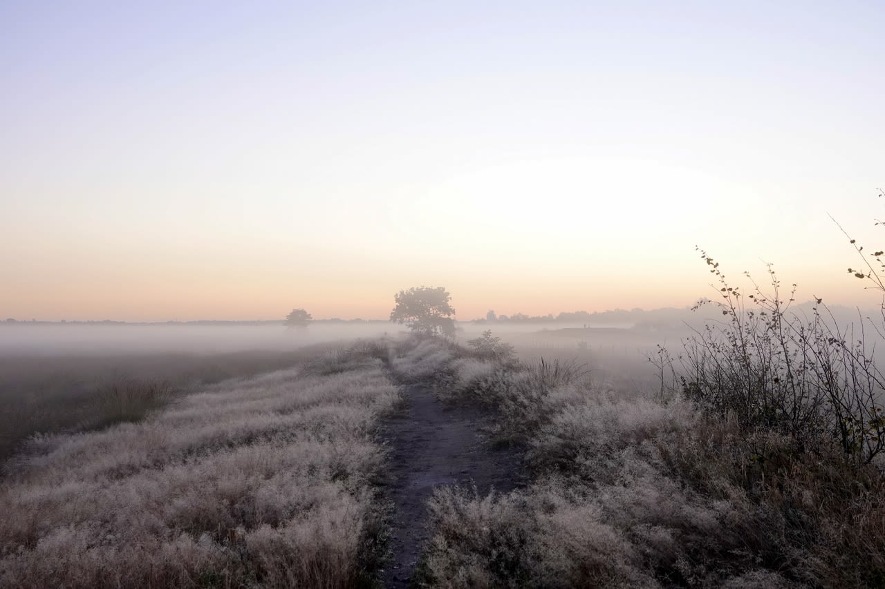 Later in de week wordt het kouder en kan het licht vriezen. Ook is de kans op nevel en mist groot. Foto: Ben Saanen