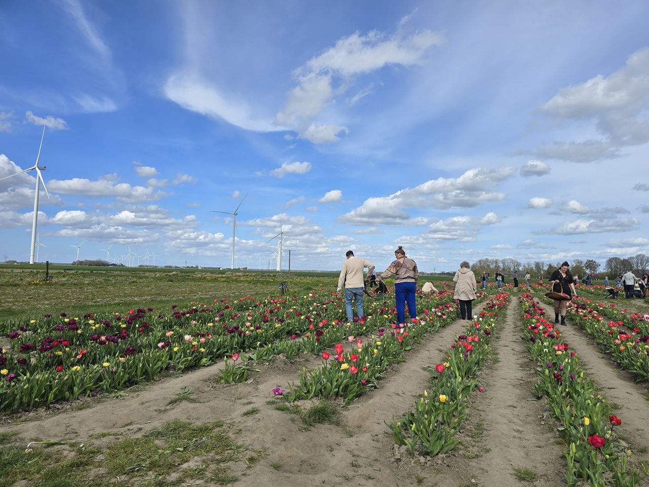 Droge eerste helft lente op twee na zonnigste en op zes na zachtste