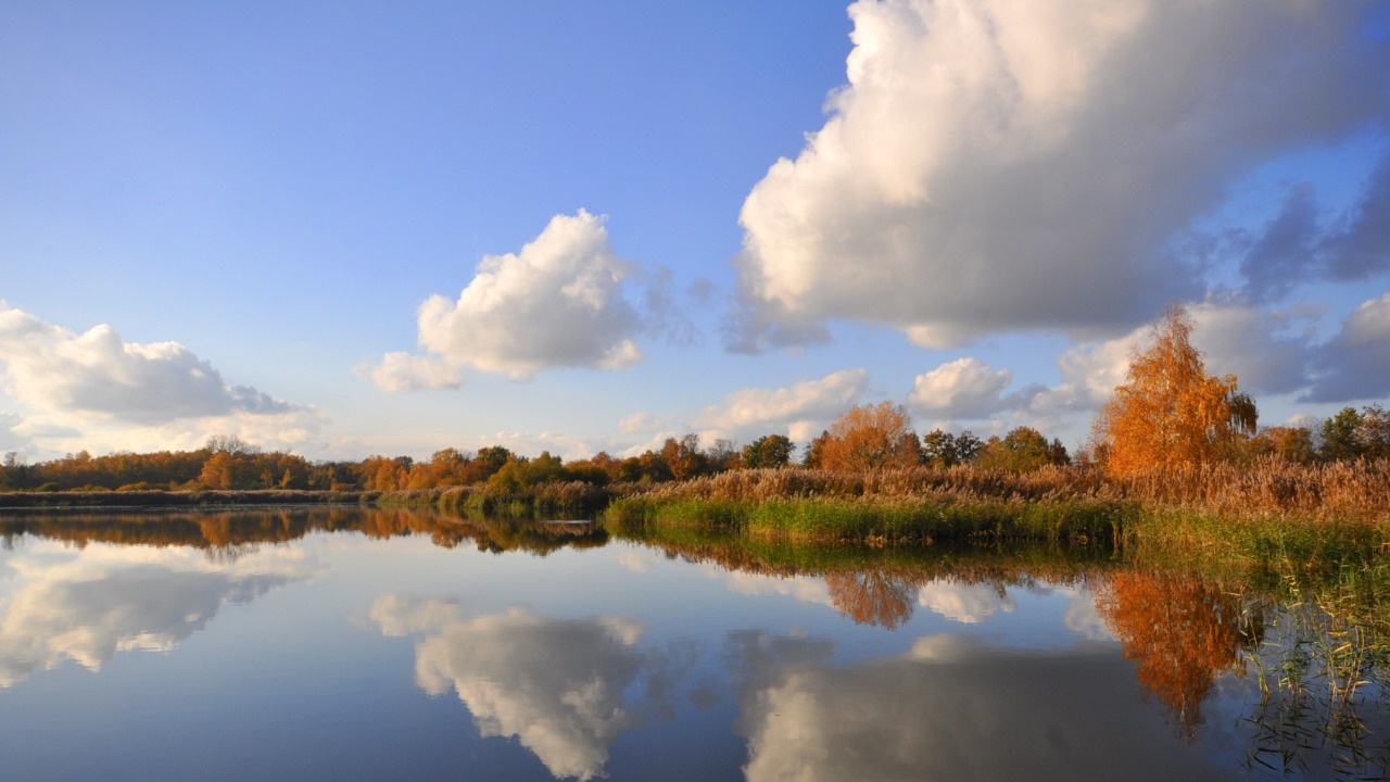 November ging zacht van start, maar eindigde koud
